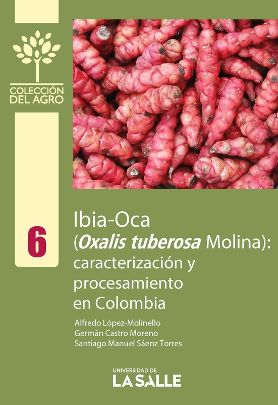 Ibia-Oca (Oxalis tuberosa Molina)